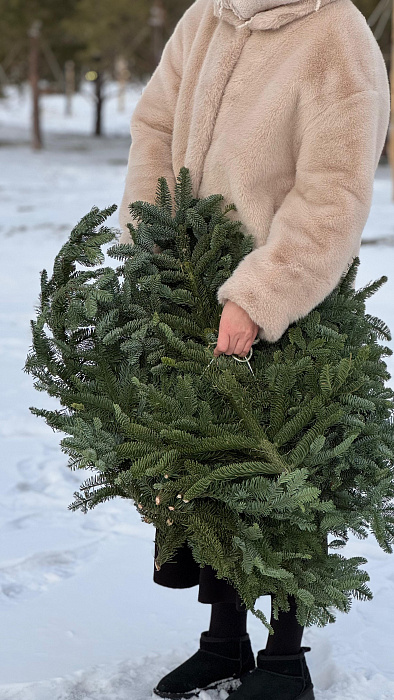Связка (банч) нобилиса 5кг - купить в Астане с доставкой