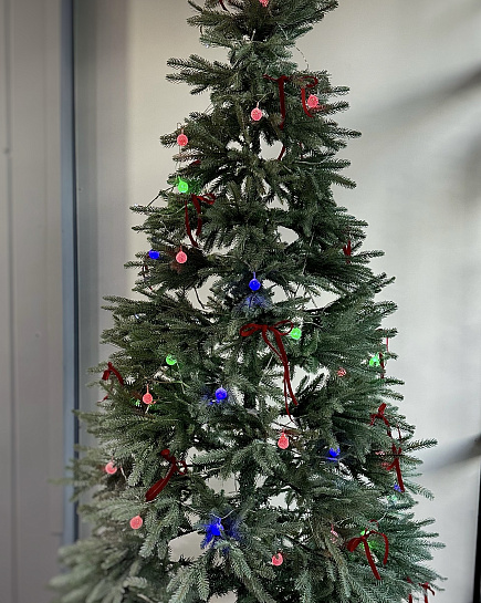 Новогодняя елка (2м) с доставкой по Астане