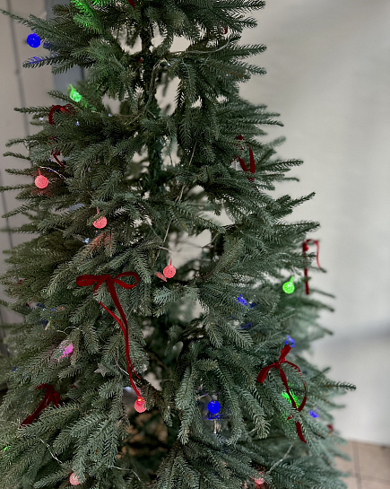 Новогодняя елка (2м) с доставкой по Астане