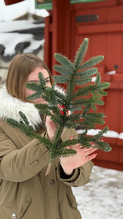 1 Лапа Нобилиса “S” - купить в Астане с доставкой